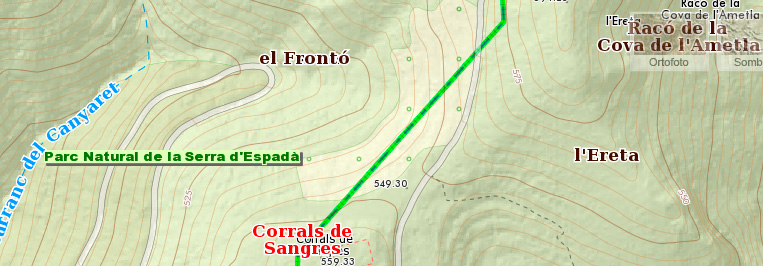 cavall_escacs_plano2