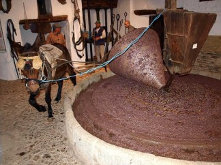 molienda-antigua-aceite