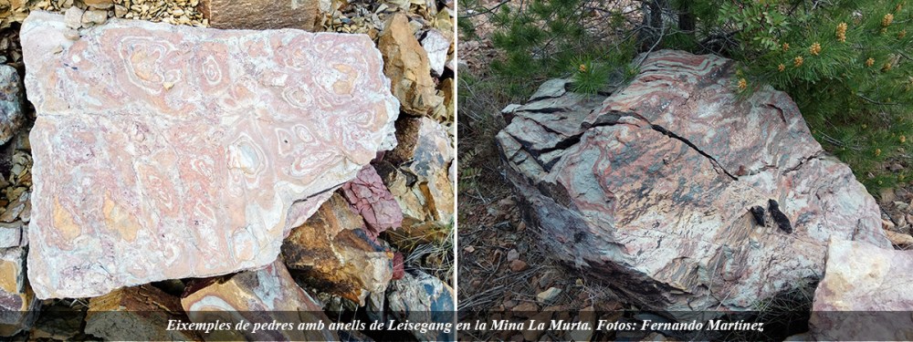 anillos-mina-murta-ok