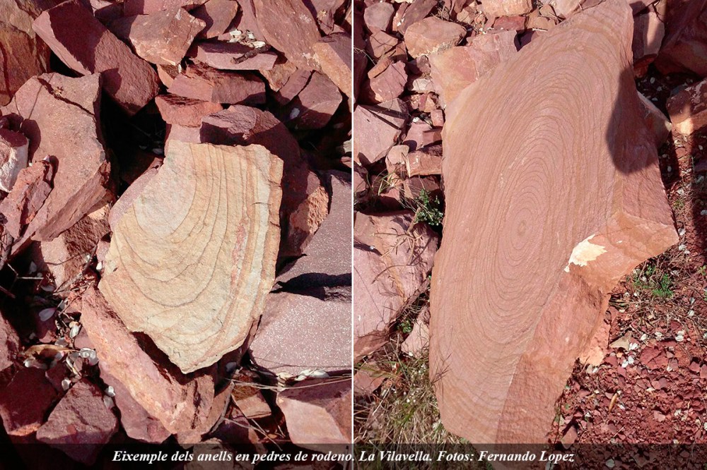 anillos-vilavella