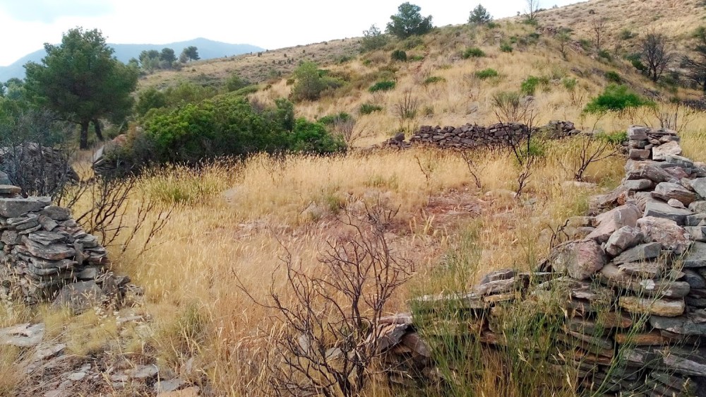 corrals-sumet-migdia